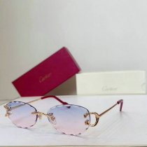 Cartier Sunglasses AAA (39) Cartier Sunglasses AAA (39)