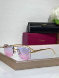 Cartier Sunglasses AAA (1239)