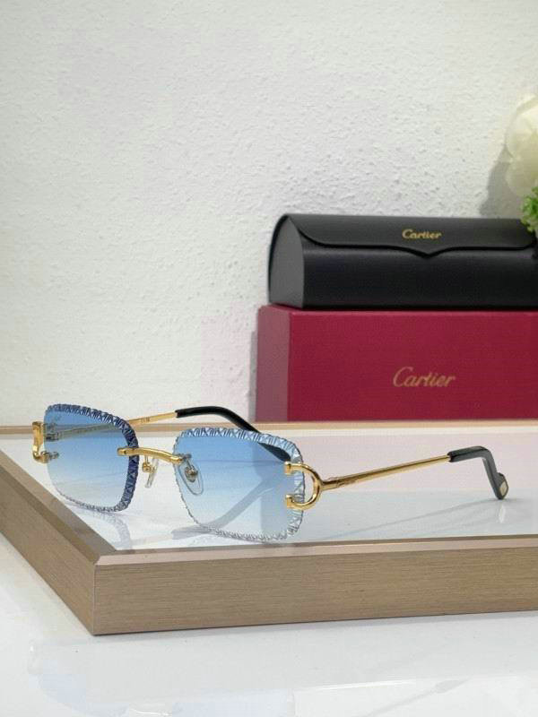 Cartier Sunglasses AAA (773)