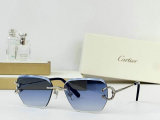 Cartier Sunglasses AAA (711)