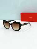 Cartier Sunglasses AAA (1554)