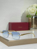 Cartier Sunglasses AAA (657)