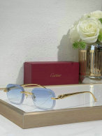Cartier Sunglasses AAA (657)
