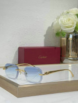 Cartier Sunglasses AAA (657) Cartier Sunglasses AAA (657)