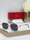 Cartier Sunglasses AAA (1505)