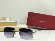 Cartier Sunglasses AAA (438)
