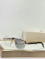 Cartier Sunglasses AAA (1605) Cartier Sunglasses AAA (1605)
