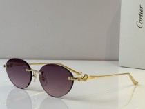 Cartier Sunglasses AAA (2765) Cartier Sunglasses AAA (2765)