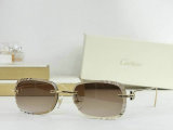 Cartier Sunglasses AAA (483)