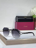 Cartier Sunglasses AAA (599)