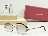 Cartier Sunglasses AAA (1076)