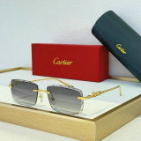Cartier Sunglasses AAA (1049)
