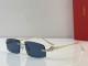 Cartier Sunglasses AAA (2849)
