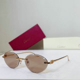 Cartier Sunglasses AAA (1773)