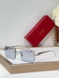 Cartier Sunglasses AAA (3175)