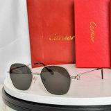 Cartier Sunglasses AAA (401)