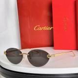 Cartier Sunglasses AAA (2344)