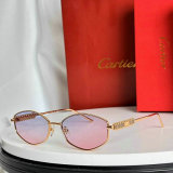 Cartier Sunglasses AAA (87)