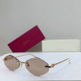 Cartier Sunglasses AAA (144)