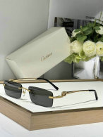 Cartier Sunglasses AAA (221)