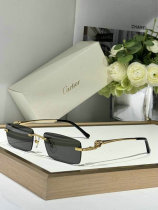 Cartier Sunglasses AAA (221) Cartier Sunglasses AAA (221)