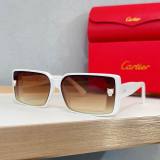 Cartier Sunglasses AAA (1962)