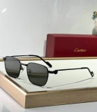 Cartier Sunglasses AAA (506)
