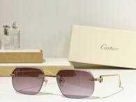 Cartier Sunglasses AAA (3618)