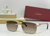 Cartier Sunglasses AAA (433)