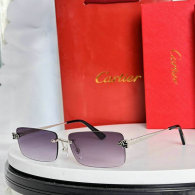 Cartier Sunglasses AAA (27)
