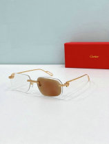 Cartier Sunglasses AAA (1569) Cartier Sunglasses AAA (1569)