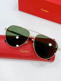 Cartier Sunglasses AAA (323)