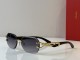 Cartier Sunglasses AAA (2734)