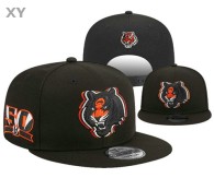NFL Chicago Bears Snapback Hat (182)