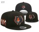 NFL Chicago Bears Snapback Hat (182)