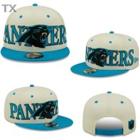 NFL Carolina Panthers Snapback Hat (242)