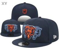 NFL Chicago Bears Snapback Hat (181)