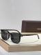 Tom Ford Sunglasses AAA (1307)