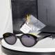 YSL Sunglasses AAA (128)