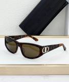 Dior Sunglasses AAA (595)