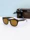 Tom Ford Sunglasses AAA (581)