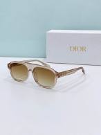 Dior Sunglasses AAA (841)