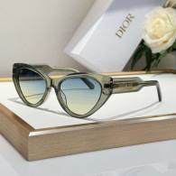 Dior Sunglasses AAA (64)