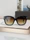Tom Ford Sunglasses AAA (557)