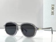 Dior Sunglasses AAA (30)