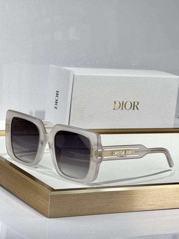 Dior Sunglasses AAA (16)