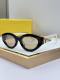 Fendi Sunglasses AAA (499)