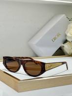 Dior Sunglasses AAA (888)