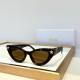 Dior Sunglasses AAA (251)