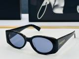 YSL Sunglasses AAA (324)